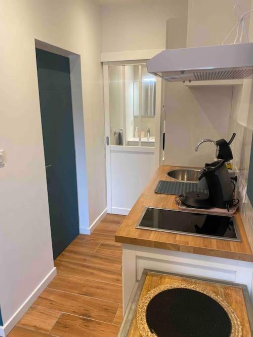 Studio Du Chateau Climatisee Каркасон Екстериор снимка