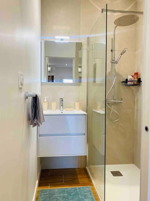 Studio Du Chateau Climatisee Каркасон Екстериор снимка